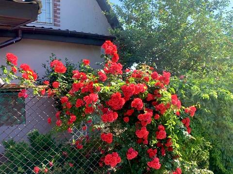 будинок за адресою Далека вул.