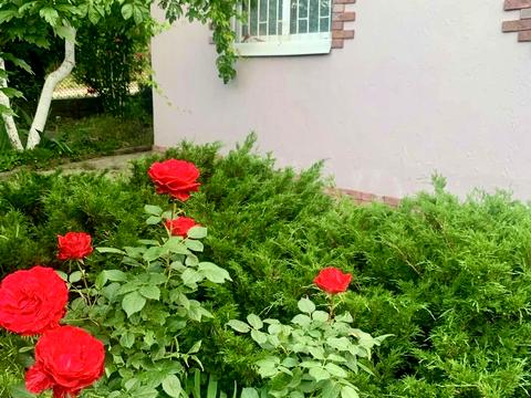 будинок за адресою Далека вул.