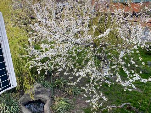 будинок за адресою Далека вул.