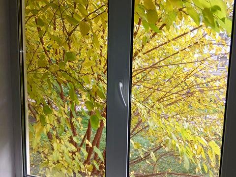 квартира за адресою Симоненка вул., 7