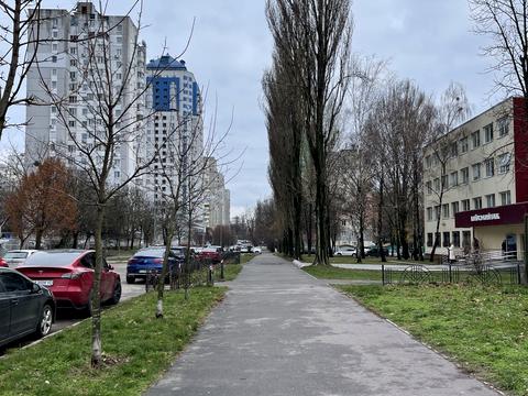 квартира за адресою Дмитра Чижевського вул. (Петра Чаадаєва), 2-Б