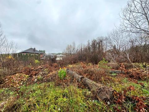 ділянка за адресою Соснова