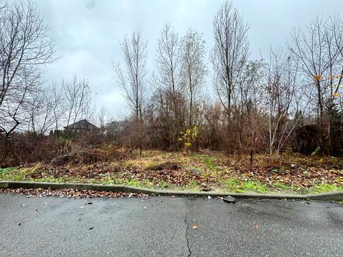 ділянка за адресою Соснова