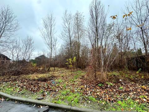 ділянка за адресою Соснова