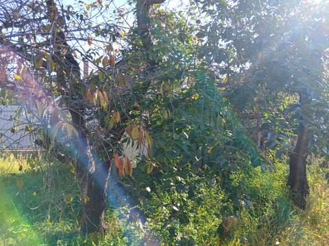 дом по адресу садова 23