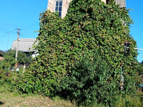 дом по адресу садова 23