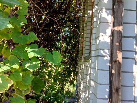 дом по адресу садова 23