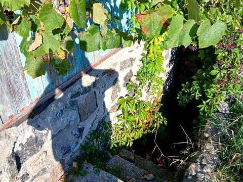 дом по адресу садова 23