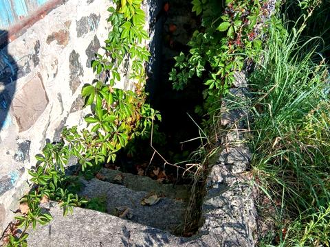 дом по адресу садова 23