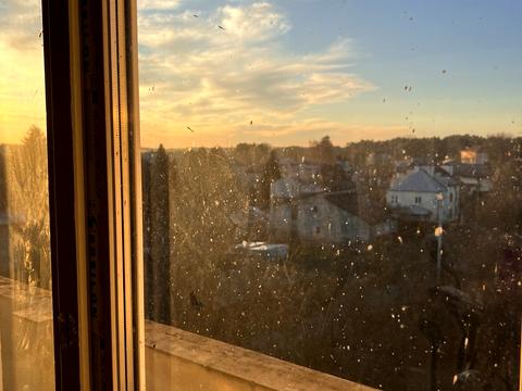 квартира по адресу Ясная ул., 25