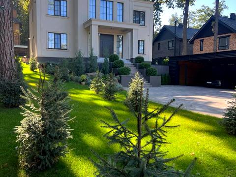 дом по адресу Лісова ул.