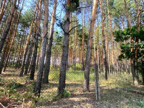 будинок за адресою 10-Садова, 152