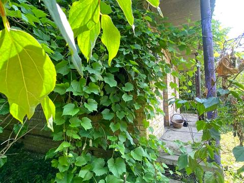 будинок за адресою 10-Садова, 152