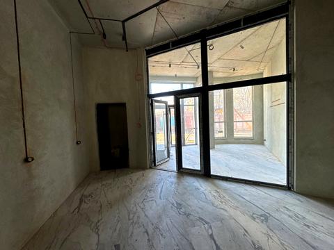 квартира по адресу Раковского ул., 24