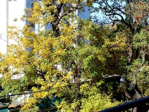 квартира по адресу Успенская ул. (Чичерина), 2/4