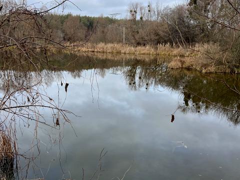 дом по адресу Казацкая ул. (Октябрьская), 23