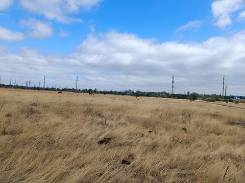 ділянка за адресою Тениста