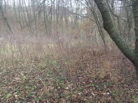 ділянка за адресою КАЙДАЧАИХА