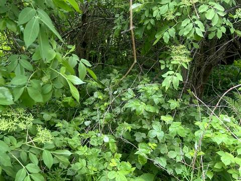 участок по адресу Варшавская ул.