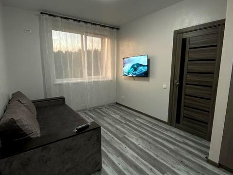 квартира за адресою Олени Теліги, 15