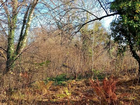 участок по адресу Долина