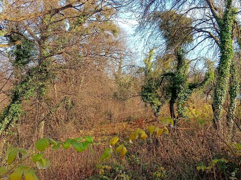 участок по адресу Долина