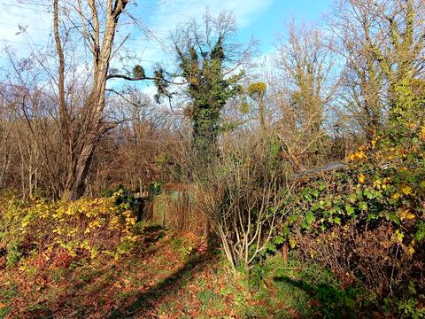 участок по адресу Долина