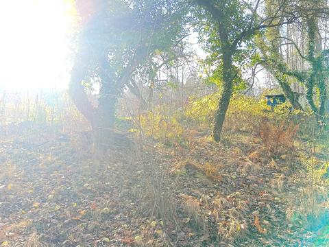 участок по адресу Долина