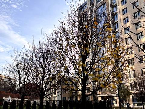 квартира по адресу Сапёрное Поле ул., 5-А