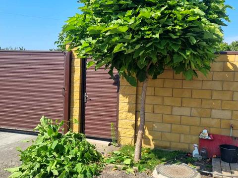 будинок за адресою Родини Кузьменків