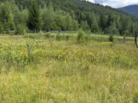 участок по адресу с. Старая Гута, 