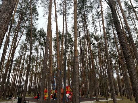 дом по адресу Привітна