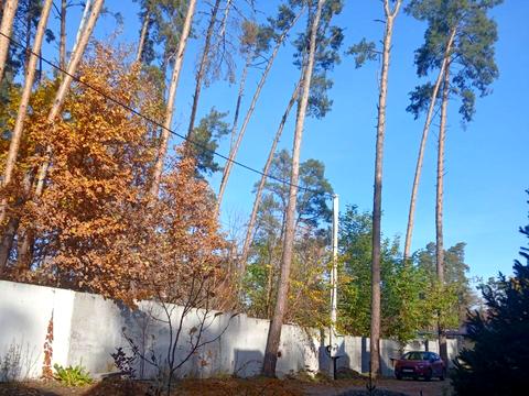 дом по адресу Севериновская ул. (Жовтнева), 122