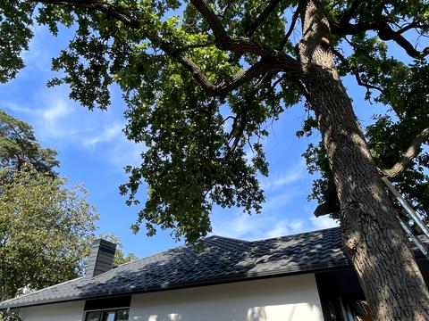 дом по адресу Антония Михайловского ул.