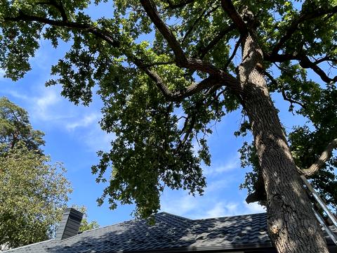 дом по адресу Антония Михайловского ул.