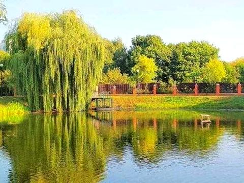 квартира за адресою Вацлава Гавела бульв. (Івана Лепсе), 28