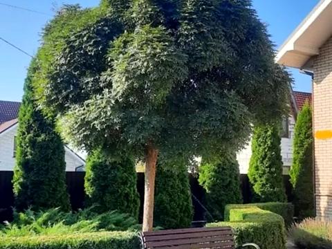 будинок за адресою Лугова