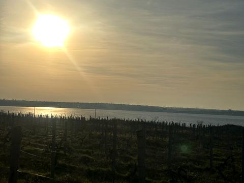 будинок за адресою Лесі Українки, 1