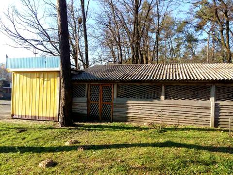 коммерческая по адресу Центральна, 1