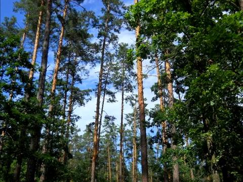 ділянка за адресою Ірпінь, Лугова вул.