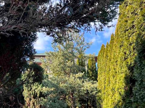 дом по адресу Тараса Шевченко ул.