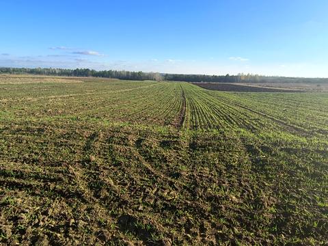 участок по адресу 