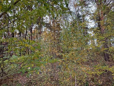 ділянка за адресою Ірпінь, Авіаконструктора Антонова вул.