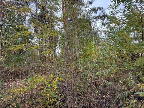 ділянка за адресою Ірпінь, Авіаконструктора Антонова вул.