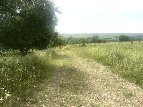 ділянка за адресою 