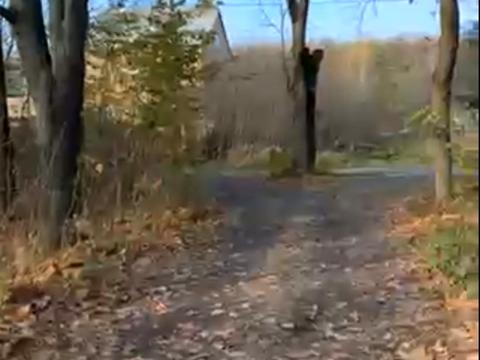 ділянка за адресою с. Конопниця, 