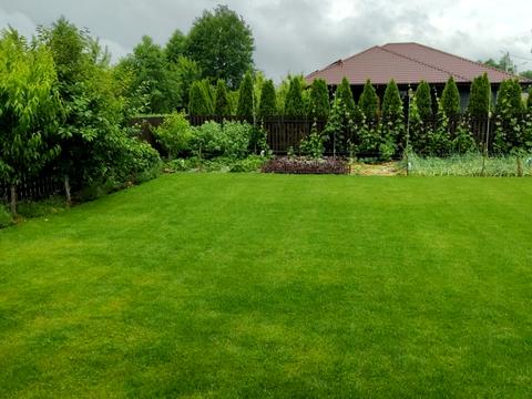 дом по адресу Зелена, 41