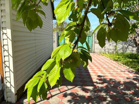 дом по адресу Дачна