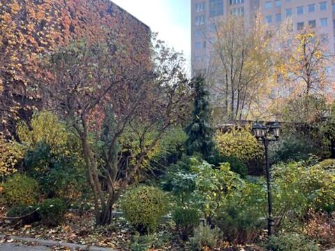 квартира по адресу Архитектора Дольника ул. (Шаумяна), 14