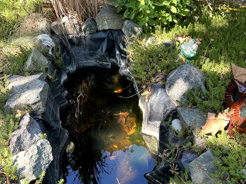 дом по адресу Рибацька